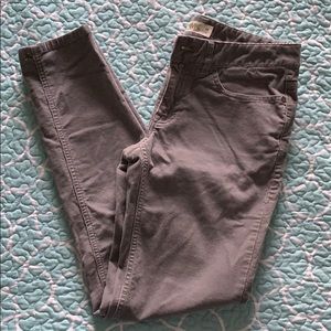 Mountain Khaki Gray Cords